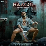 Marjaanal - Baaghi 4